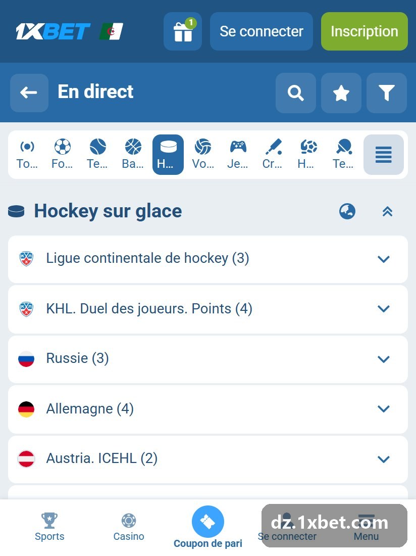 Hockey sur glace 2026 - groupes de hockey en direct, KHL, DEL et Ligue Magnus